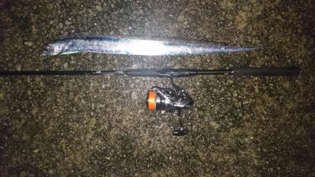 タチウオちょい渋