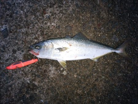 トップでツバス2連発するも・・・