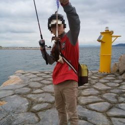 時合がハッキリしています