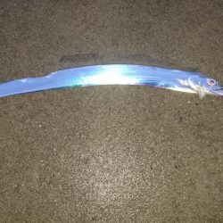 サイズダウン？