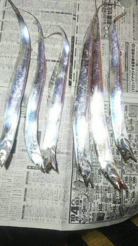 太刀魚ゲッターで一時間に６匹❗