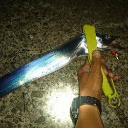 怪物デタ！！！(;°Д°)