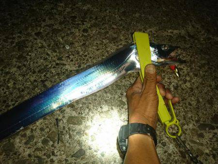 怪物デタ！！！(;°Д°)