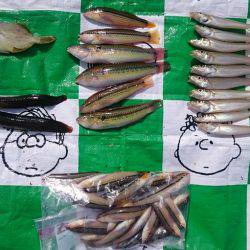 キスがボチボチ&ボラすくい