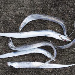 台風前のチャレンジ♪