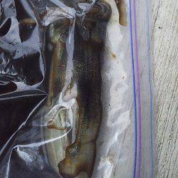 アオリイカの沖漬け