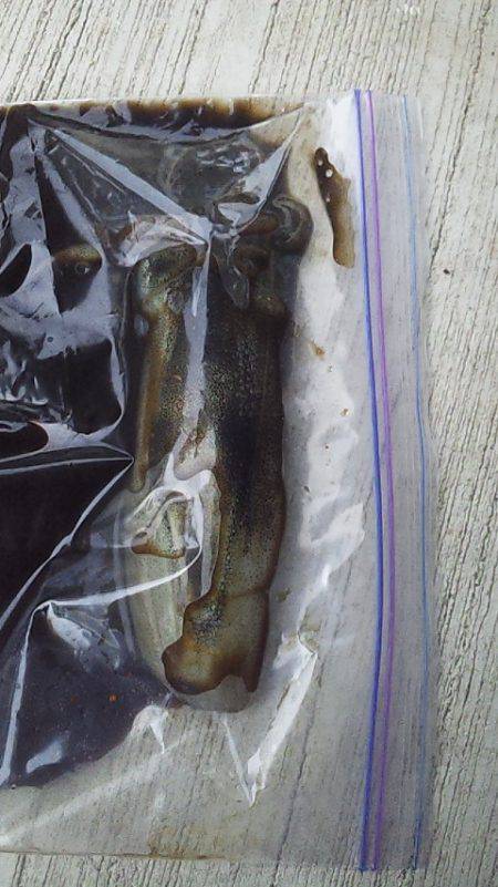 アオリイカの沖漬け