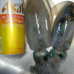 本日も夕まずめまで釣れず