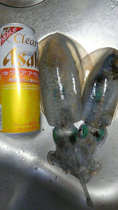 本日も夕まずめまで釣れず