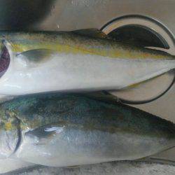 太刀魚&サビキ~ののませ!