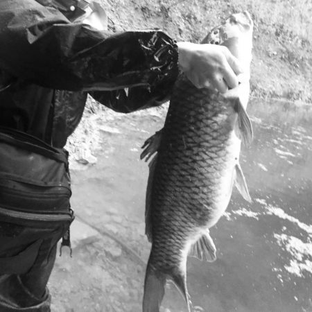 祝)全魚種最大記録更新!