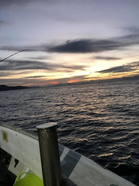 これだけのアジどう料理しよう