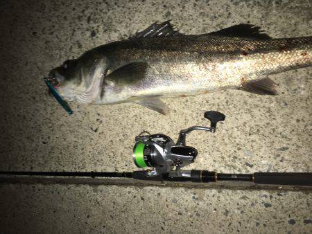 ボイル後の一本！