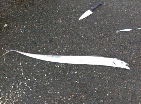 こんなとこにも日本刀