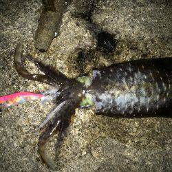 寒気、北風、寒い!