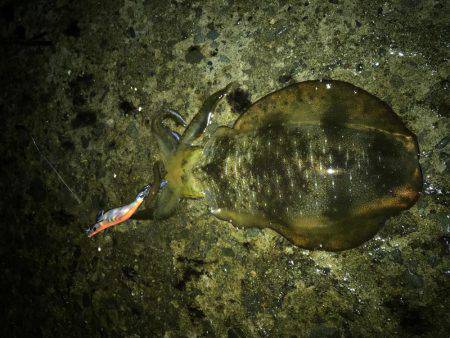 リベンジ釣行！