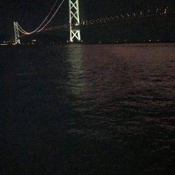 デカイカ求めて