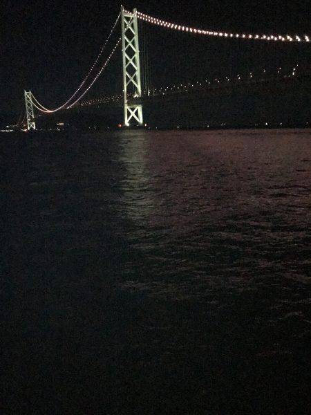 デカイカ求めて