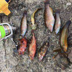 アタリあるある٩(^‿^)۶