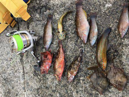 アタリあるある٩(^‿^)۶