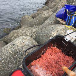 波止フカセ釣り