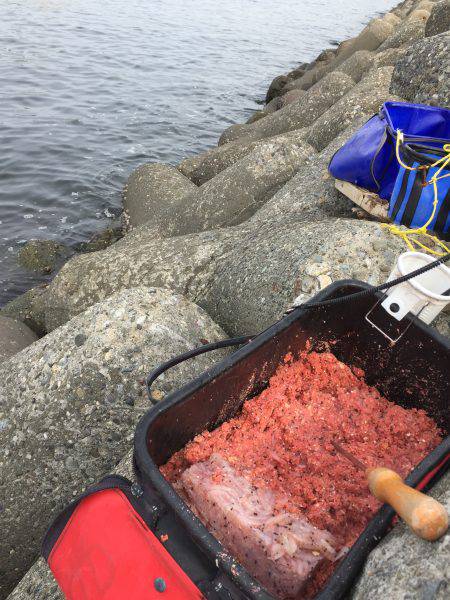 波止フカセ釣り