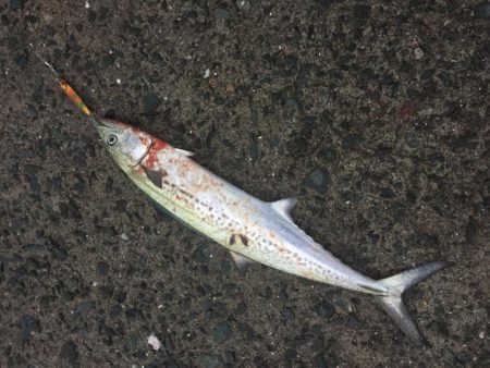 平戸は暴風で釣り出来ず…