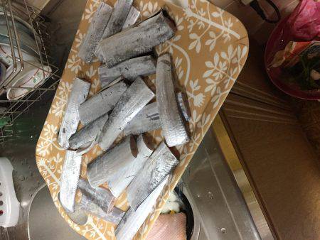 シーサイドコスモタチウオ調査