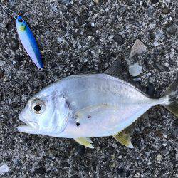 ちっちゃいメッキ