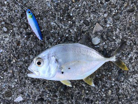 ちっちゃいメッキ