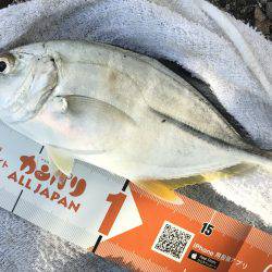 朝夕メッキ三昧