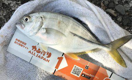 朝夕メッキ三昧