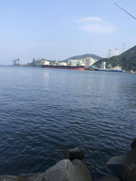 エギングのち小物へ