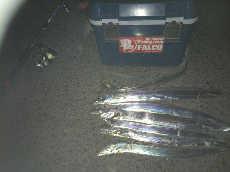 仕事帰りの夕まずめ♫