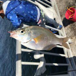 貝塚人工島 5時〜10時半