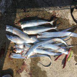 連休は沖堤防で♫