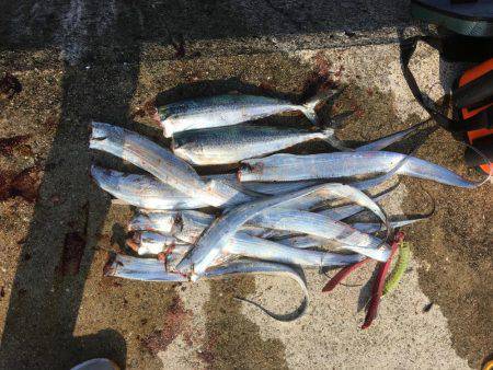 連休は沖堤防で♫