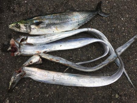 久しぶりの武庫一♫