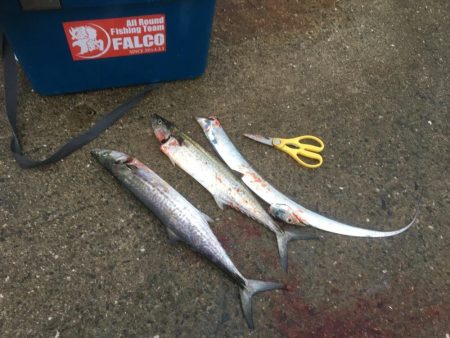 仕事前の朝練♫