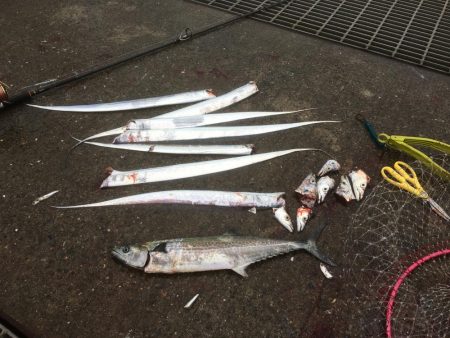 雨にも負けず♫