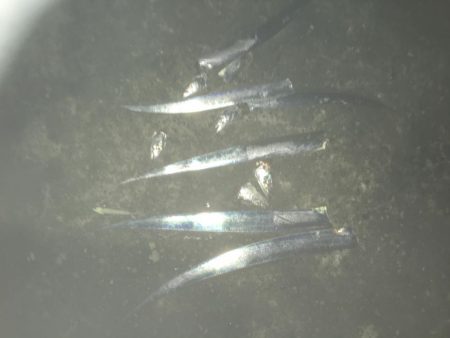 ダブルヘッダー♫