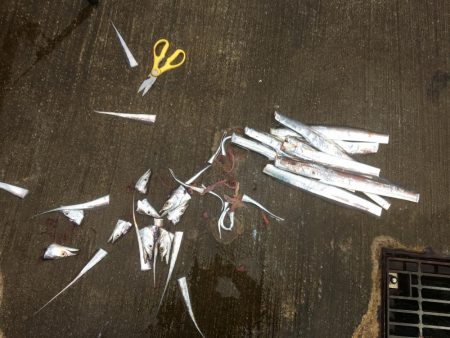 週末は雨でも人多いね〜！