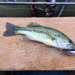 一庫 ボート釣行