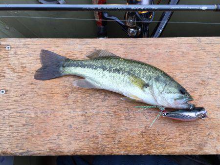 一庫 ボート釣行