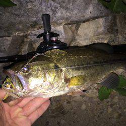 暗くなってからHit！