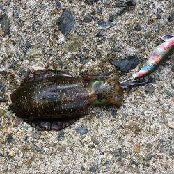 後ろ髪引かれまくり