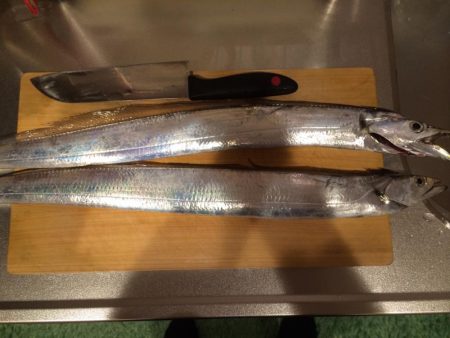 ショアジギング 2回目