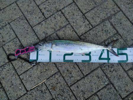 超絶、楽しかった♪