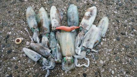 深浦港周辺をランガン