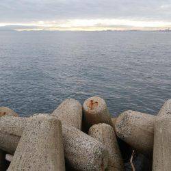 ジグサビキとワインド